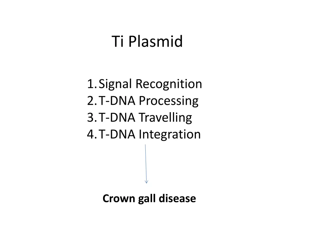 ti plasmid