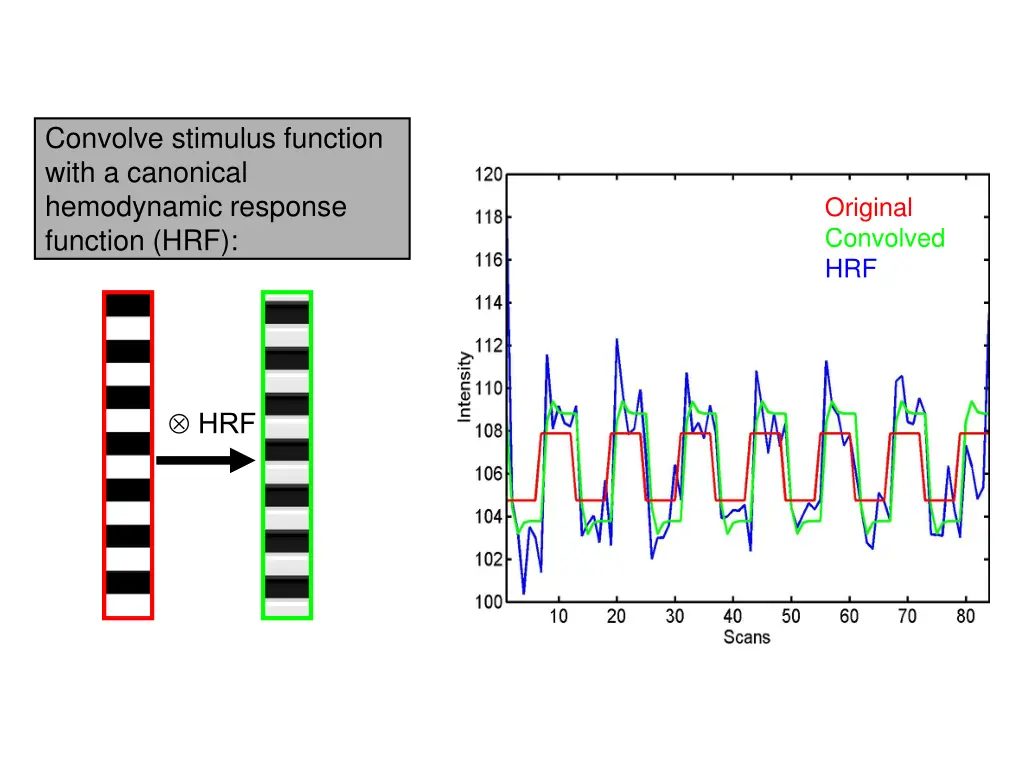 convolve stimulus function with a canonical