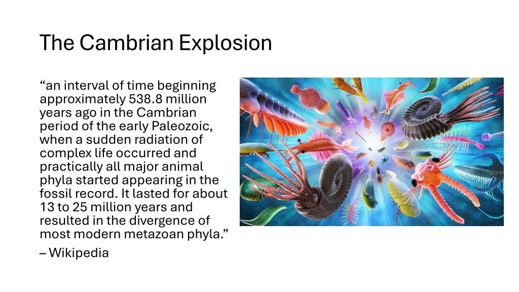 the cambrian explosion