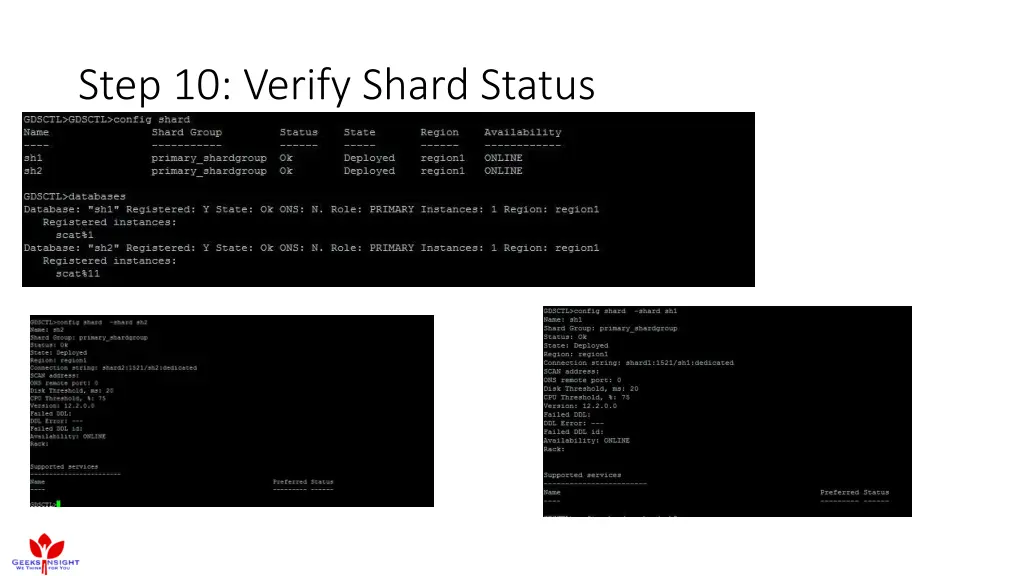 step 10 verify shard status
