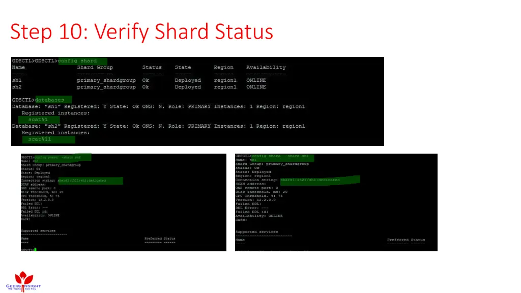 step 10 verify shard status