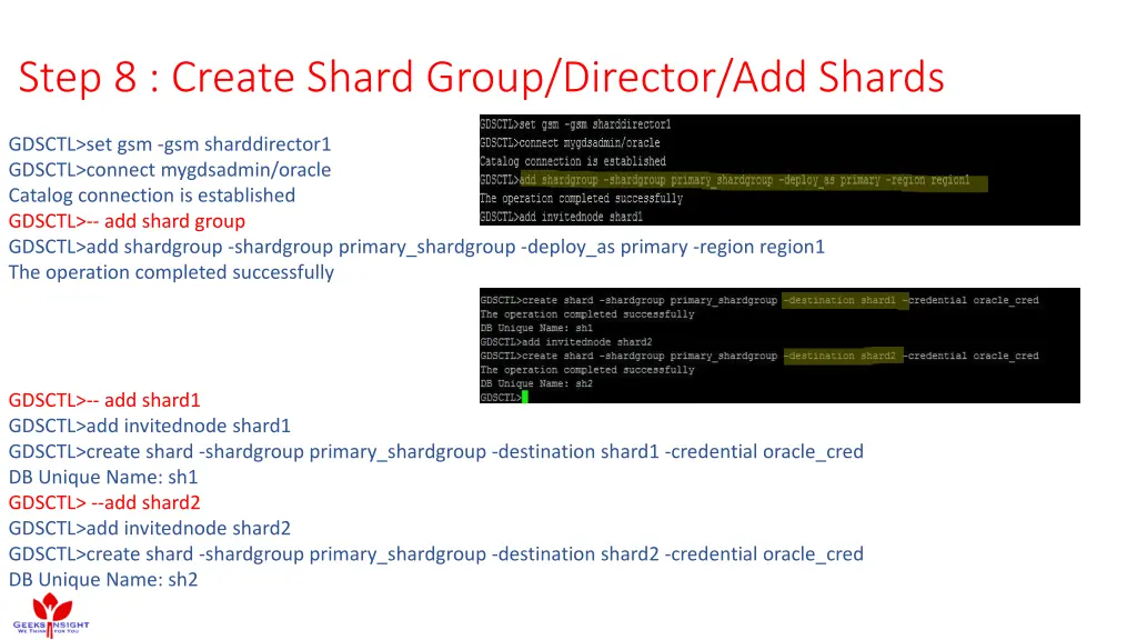 step 8 create shard group director add shards