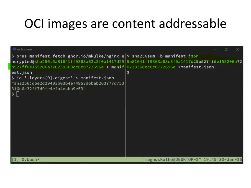 oci images are content addressable