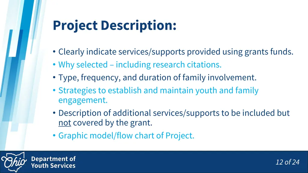 project description