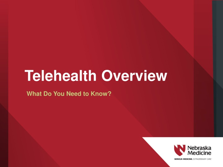 telehealth overview
