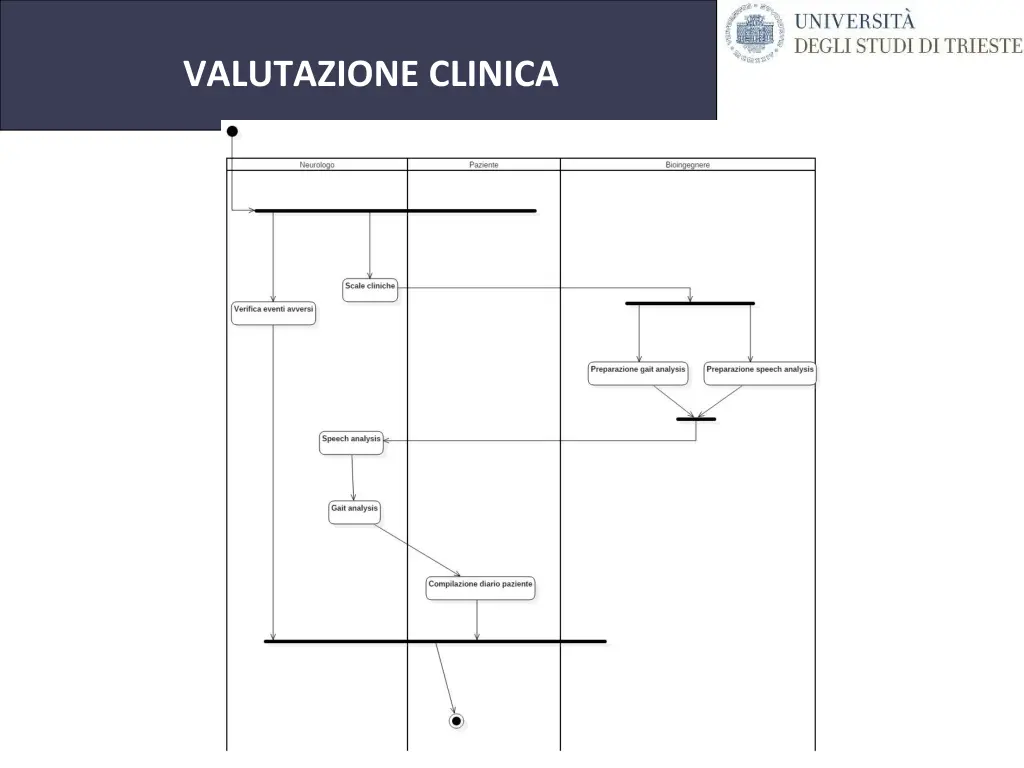 universit degli studi di trieste 14