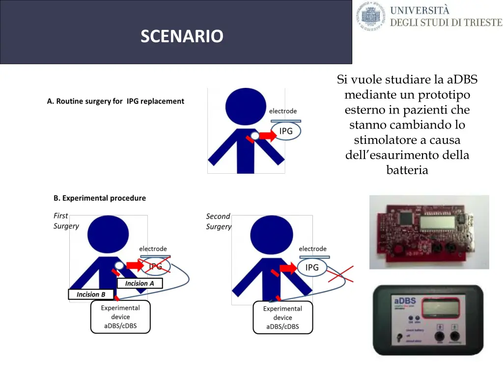 universit degli studi di trieste 2