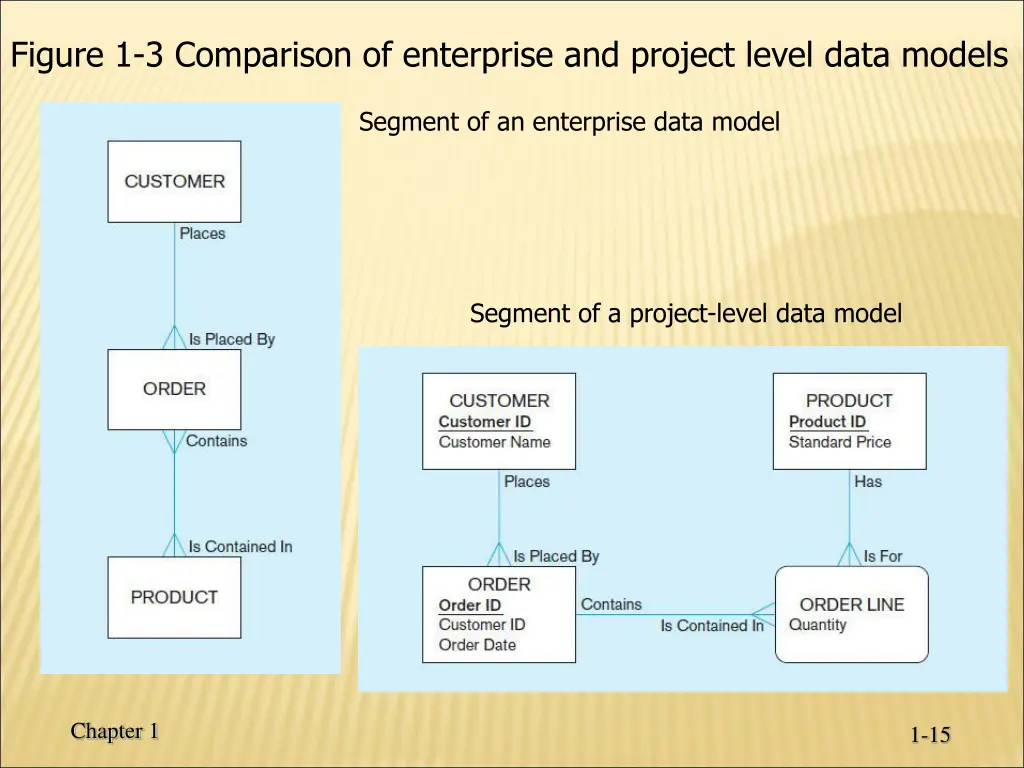 figure 1 3 comparison of enterprise and project