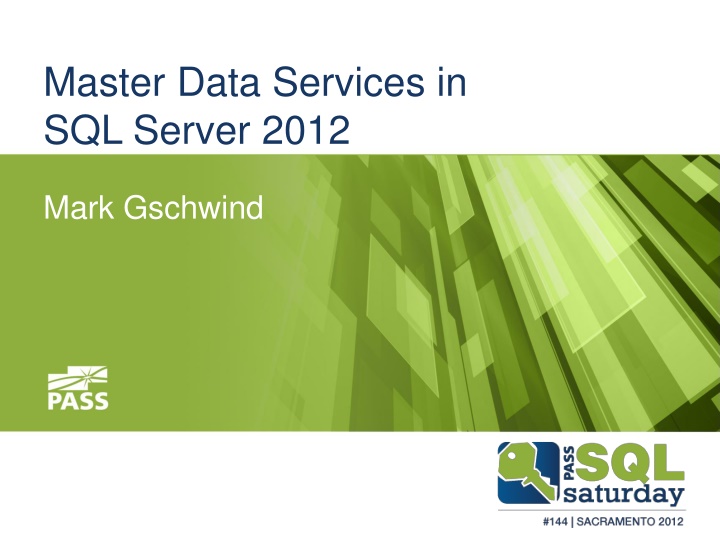 master data services in sql server 2012