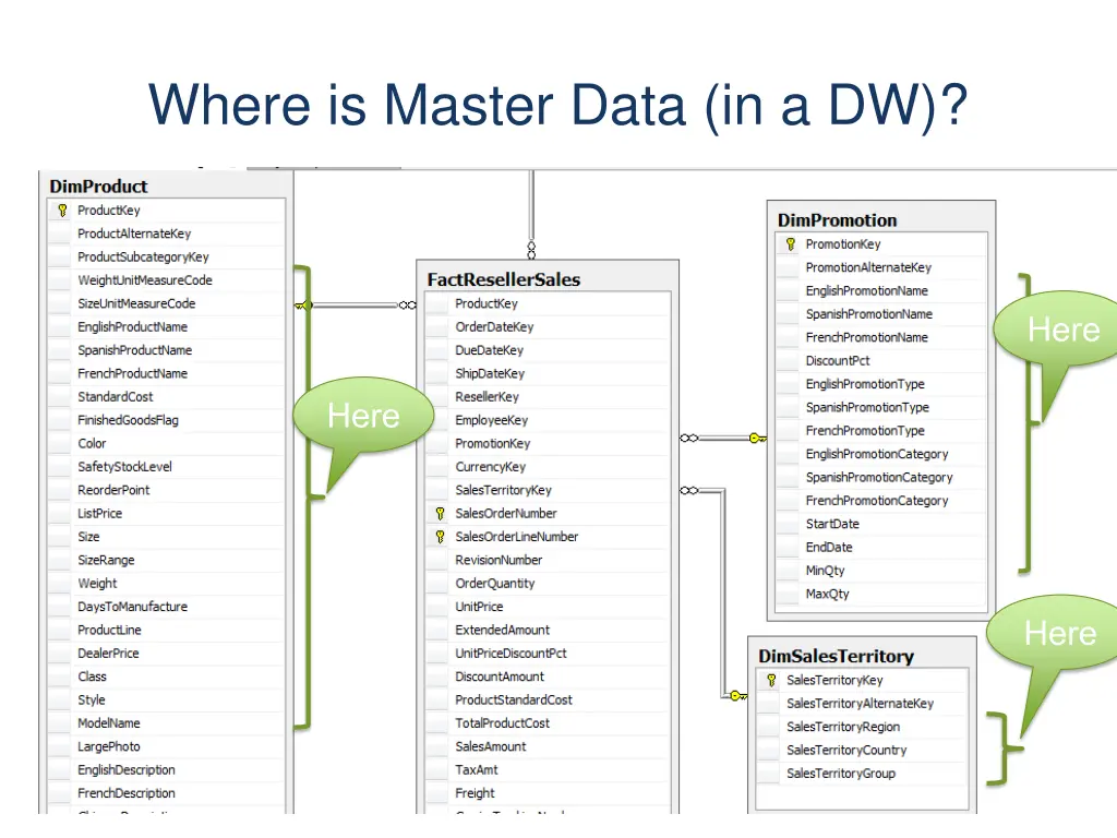 where is master data in a dw