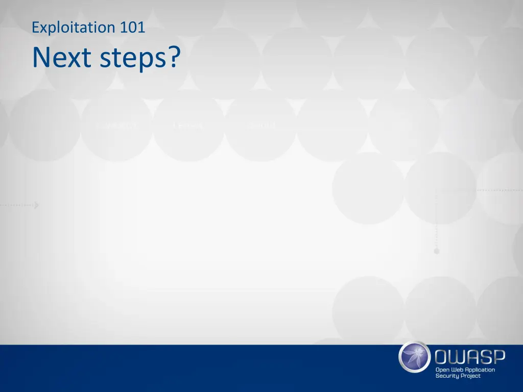 exploitation 101 next steps