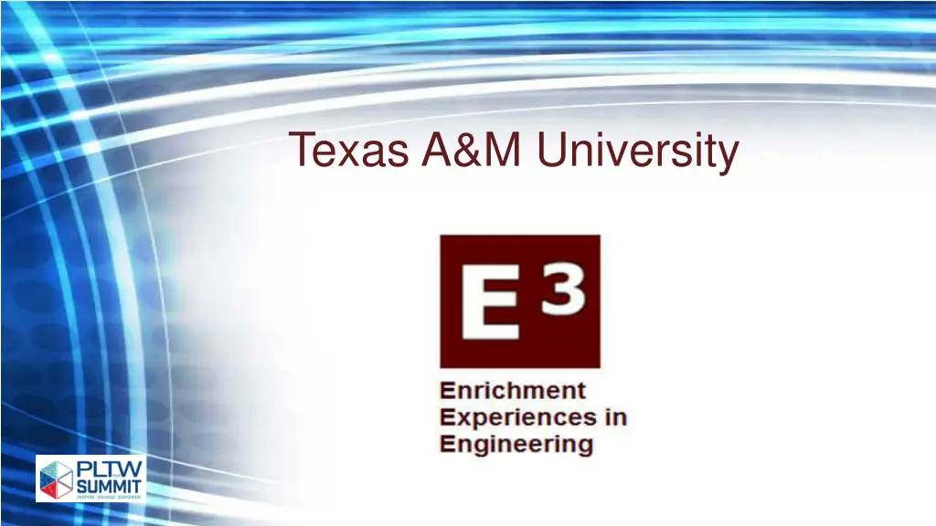 texas a m university
