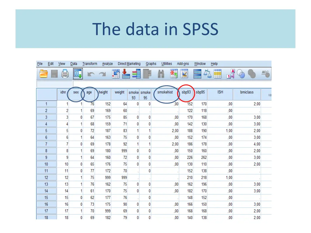the data in spss