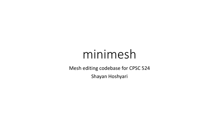 minimesh