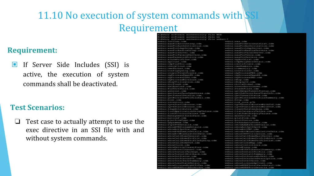 11 10 no execution of system commands with