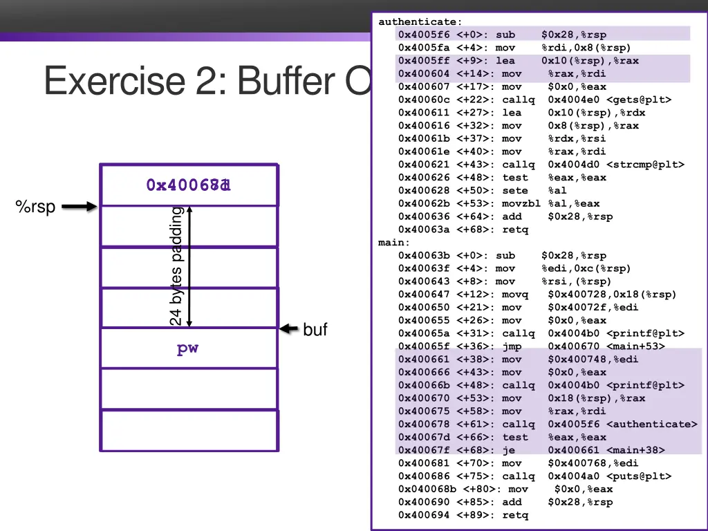 authenticate 0x4005f6 0 sub 0x28 rsp 0x4005fa 1