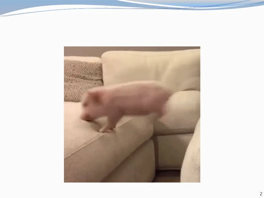 slide2