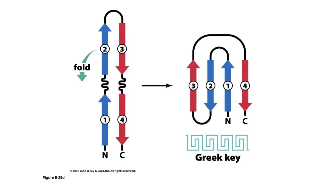 figure 6 28d