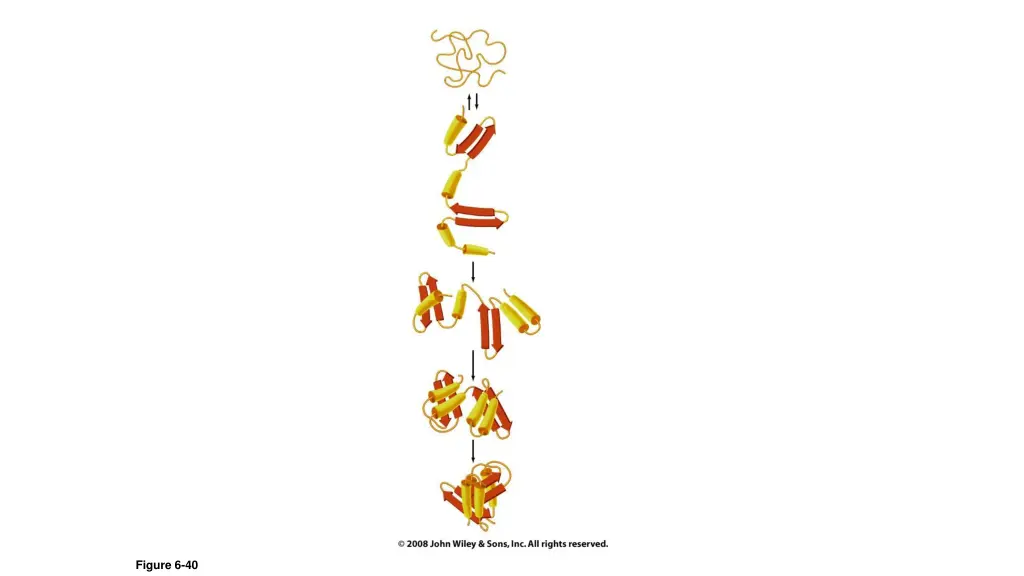 figure 6 40