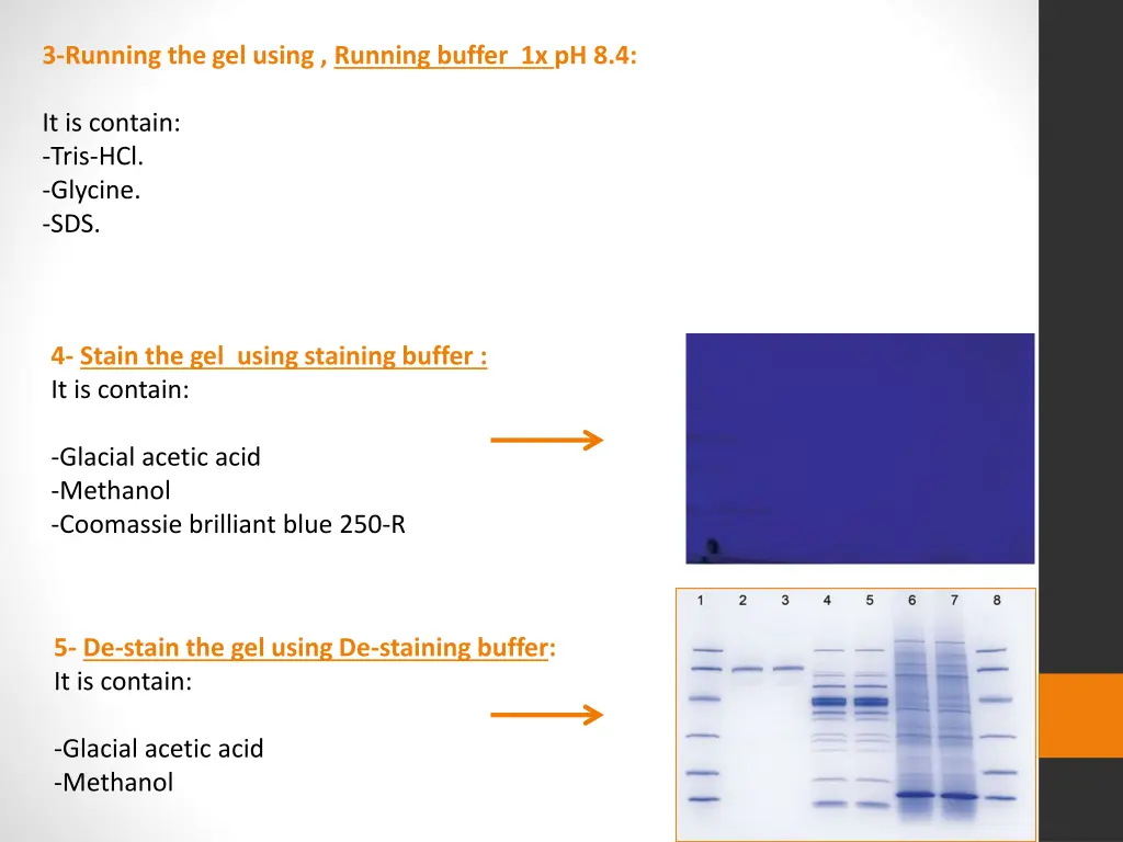 3 running the gel using running buffer 1x ph 8 4