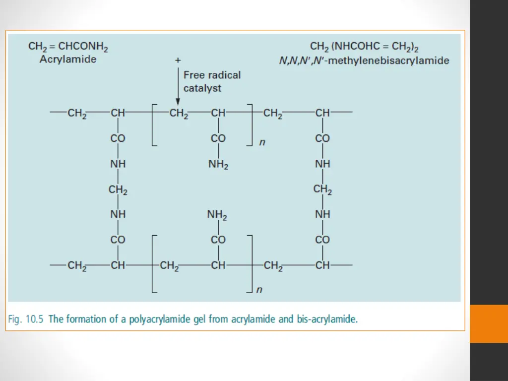 slide8