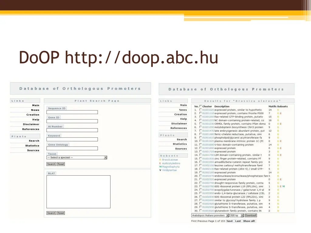 doop http doop abc hu