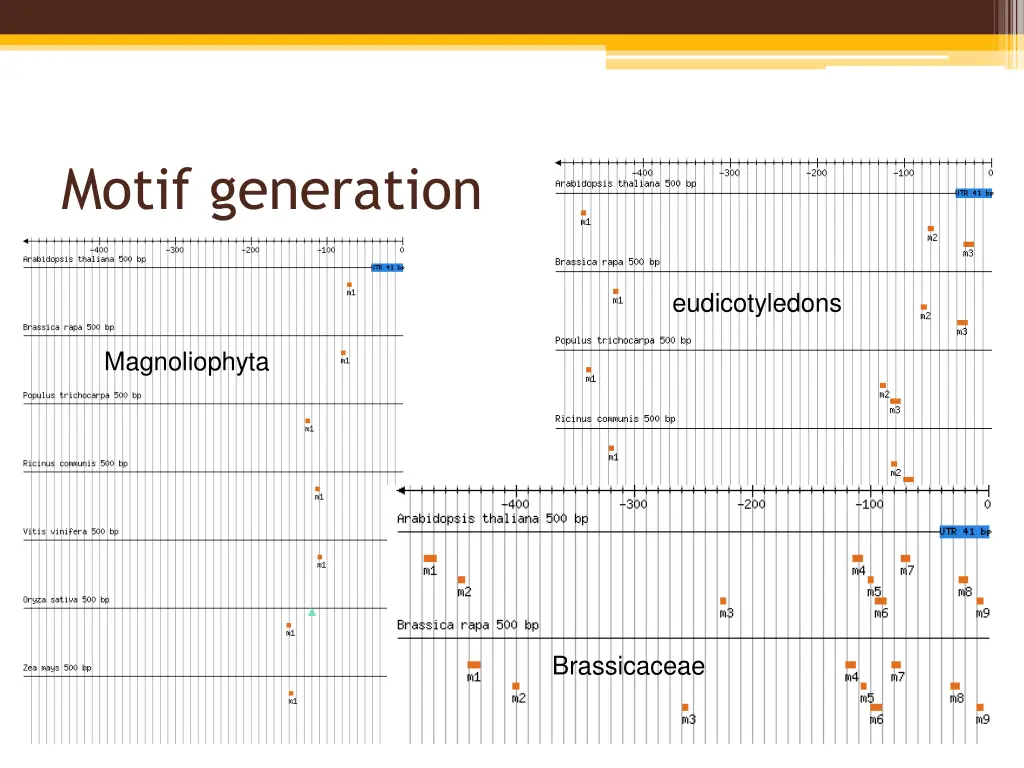 motif generation 1