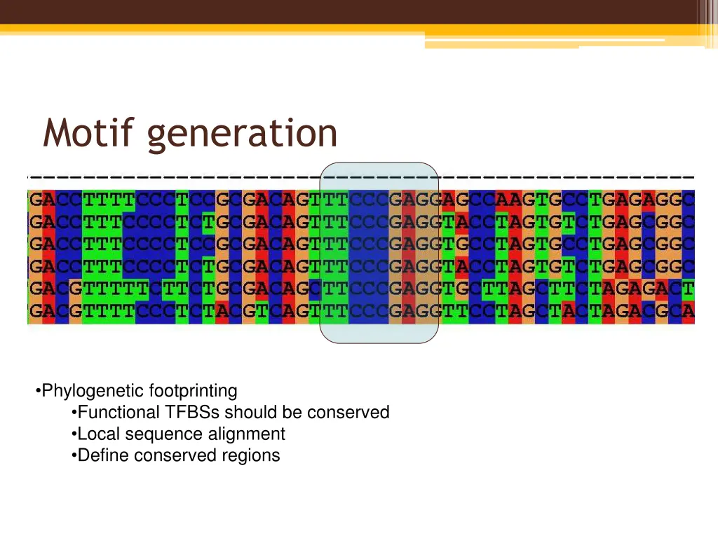 motif generation