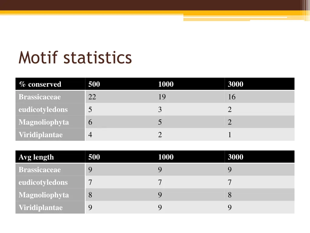 motif statistics 1