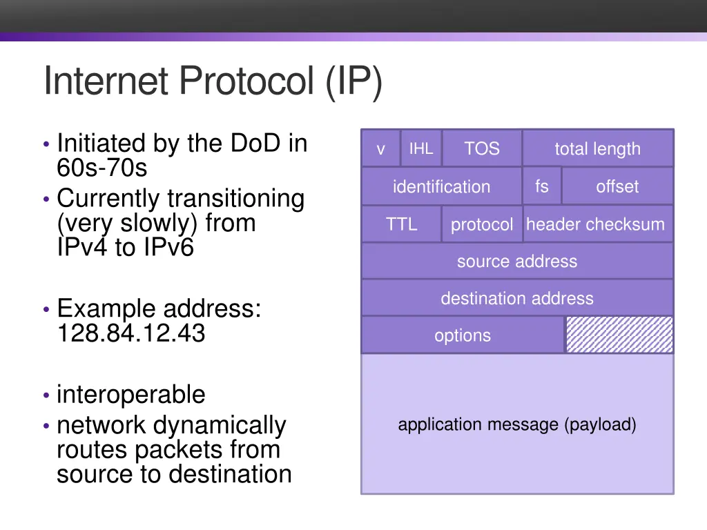 internet protocol ip