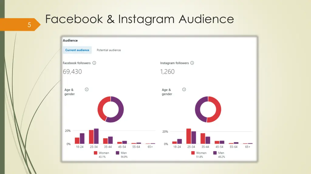 facebook instagram audience