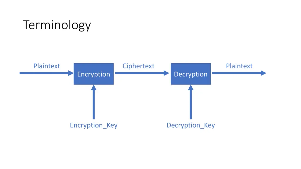 terminology