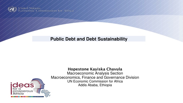 public debt and debt sustainability