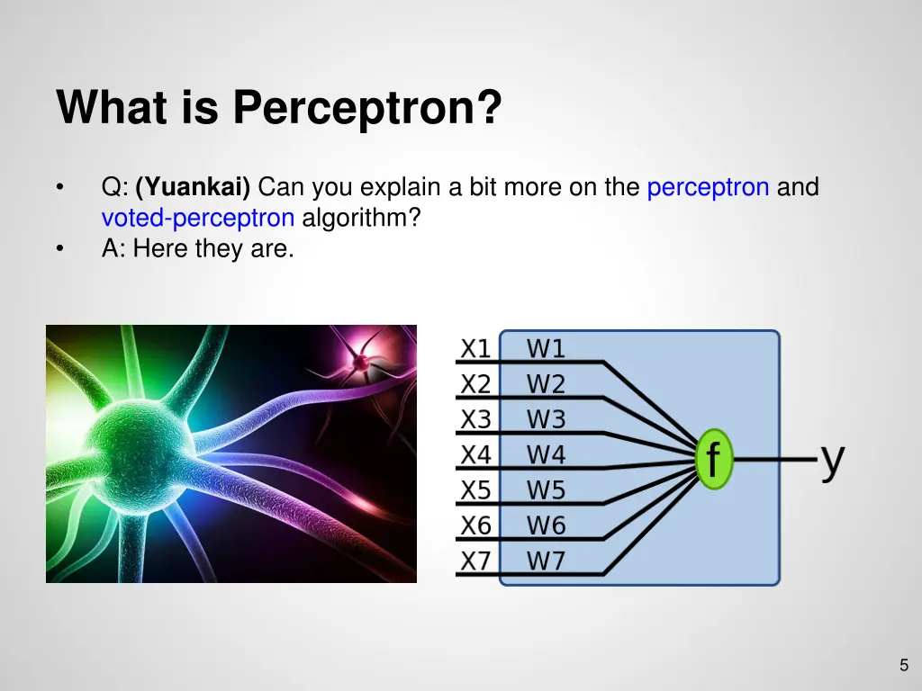 what is perceptron
