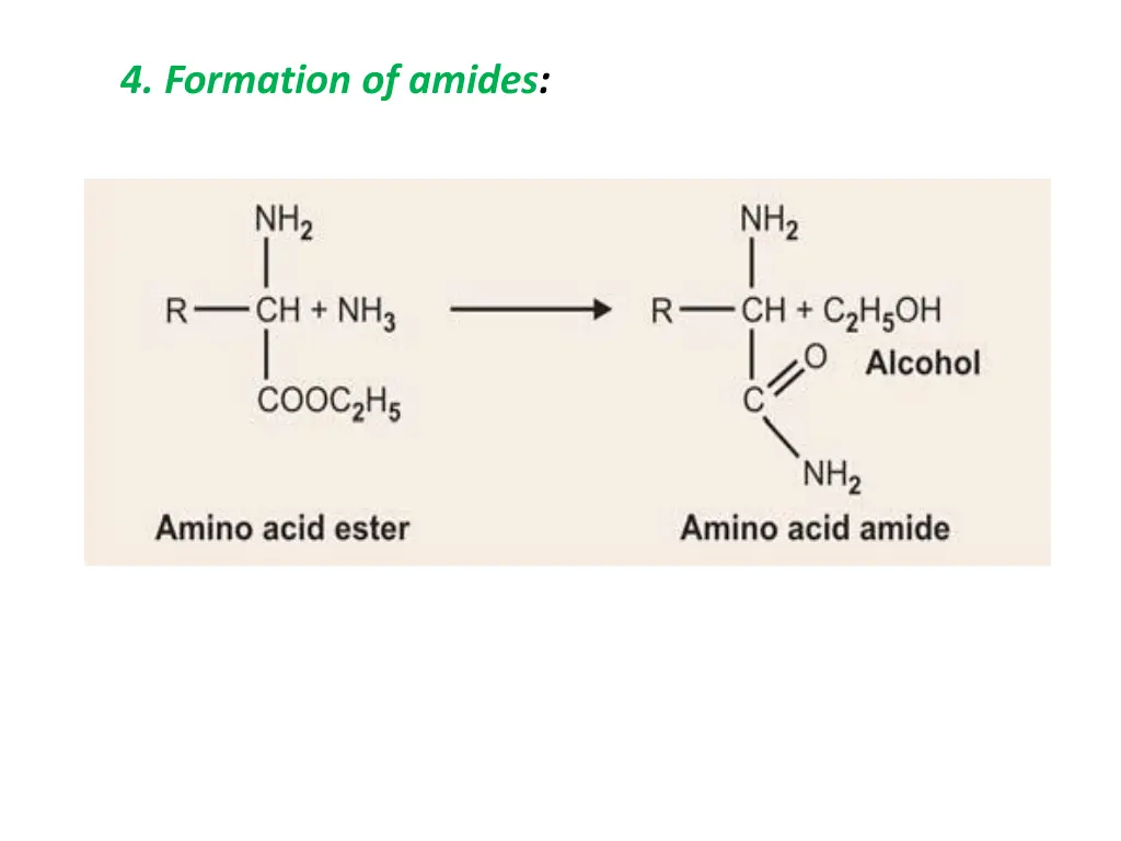 4 formation of amides