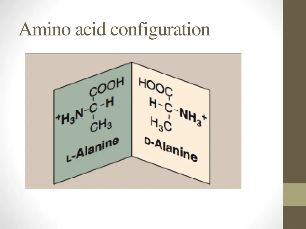 amino acid configuration