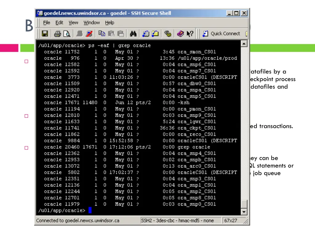 background processes cont d 2