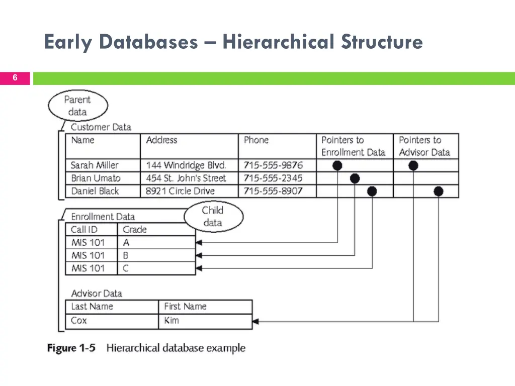 early databases hierarchical structure