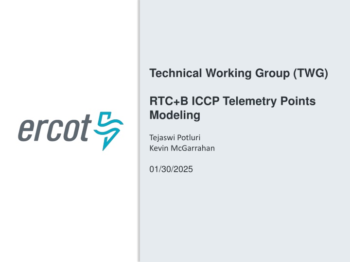 technical working group twg