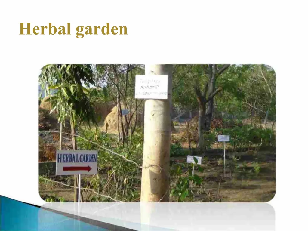 herbal garden