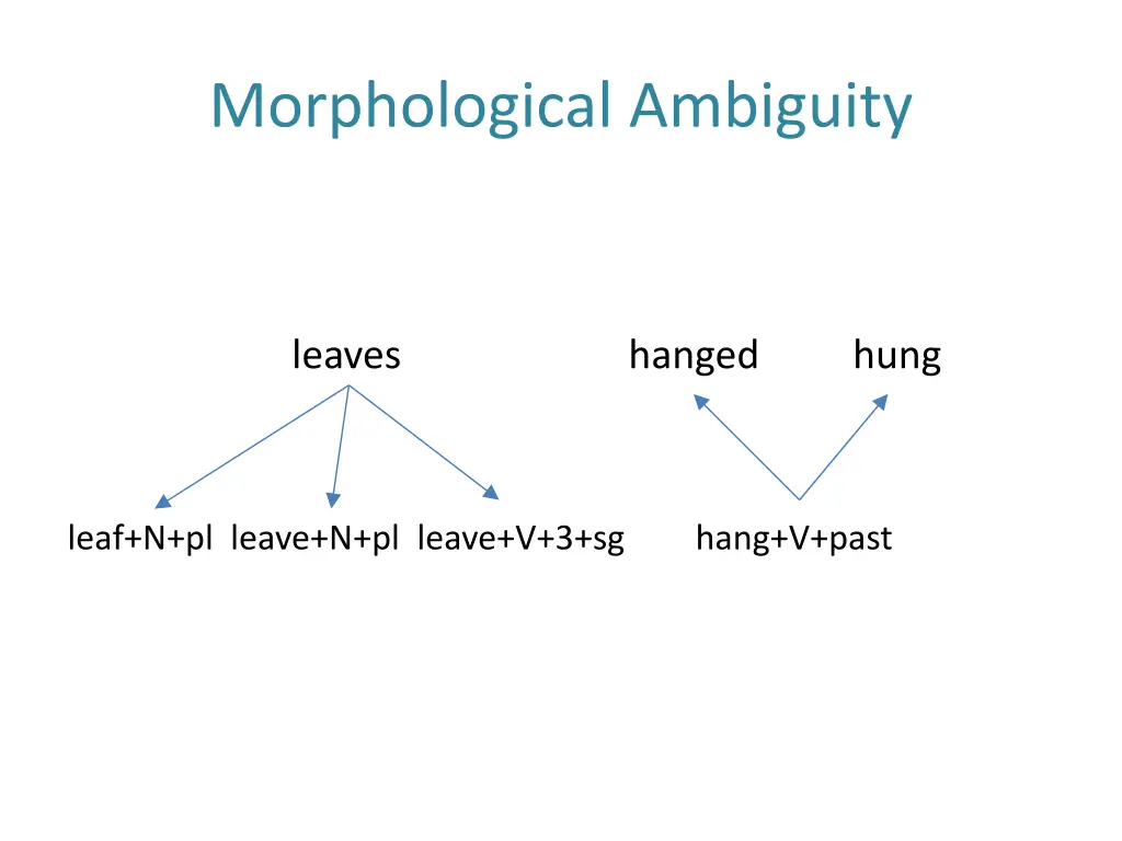 morphological ambiguity