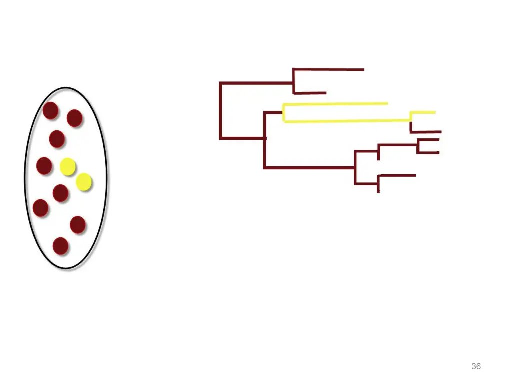 slide36
