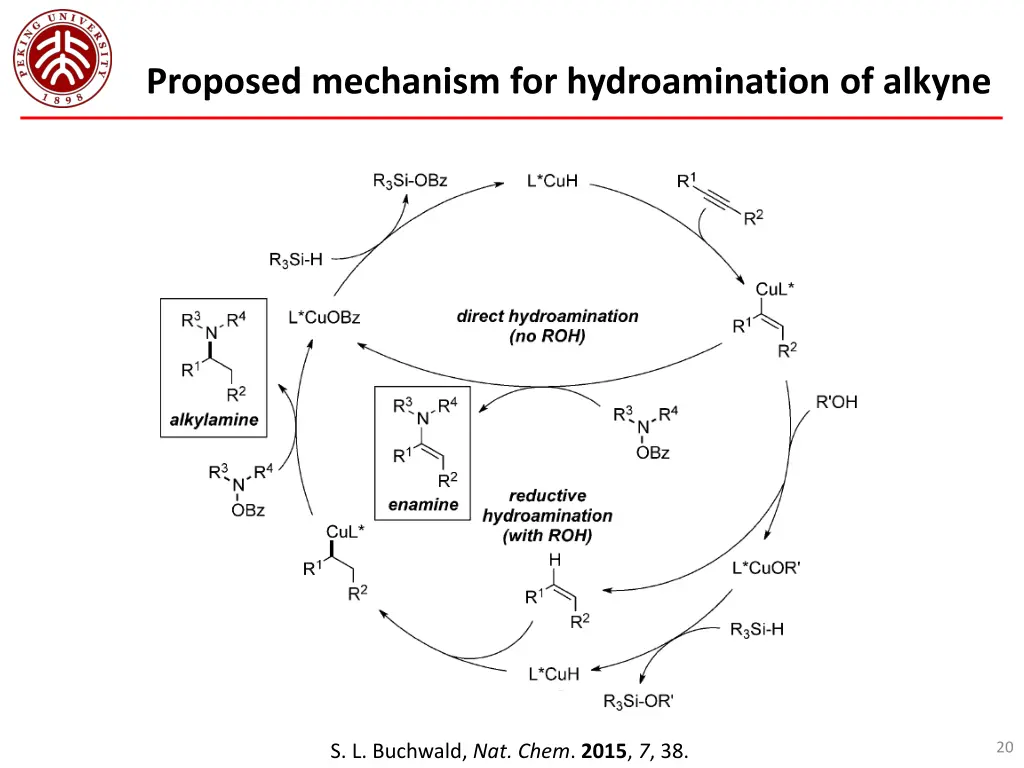 proposed mechanism for hydroamination of alkyne