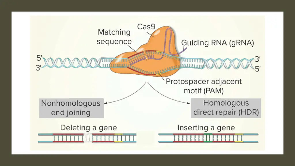 slide9