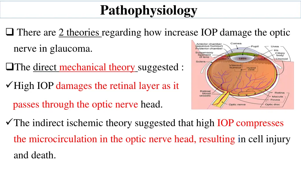 pathophysiology