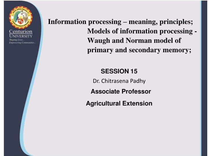 information processing meaning principles models