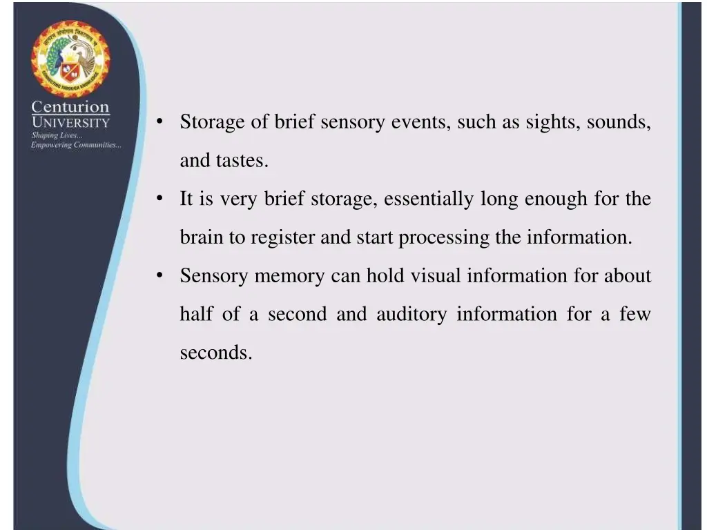 storage of brief sensory events such as sights