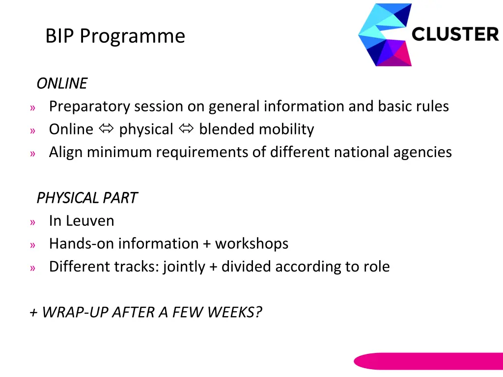 bip programme