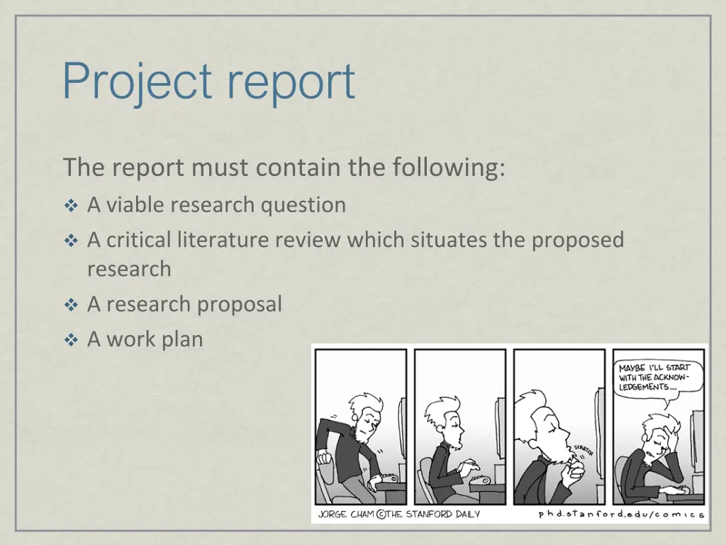 project report