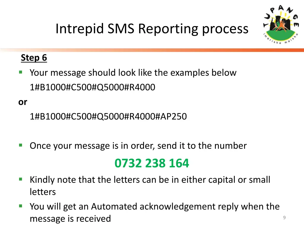 intrepid sms reporting process 2
